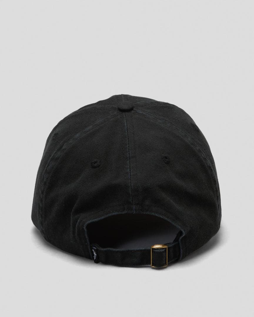 日本未入荷 ステューシー Thick Low Pro Cap キャップ 帽子
