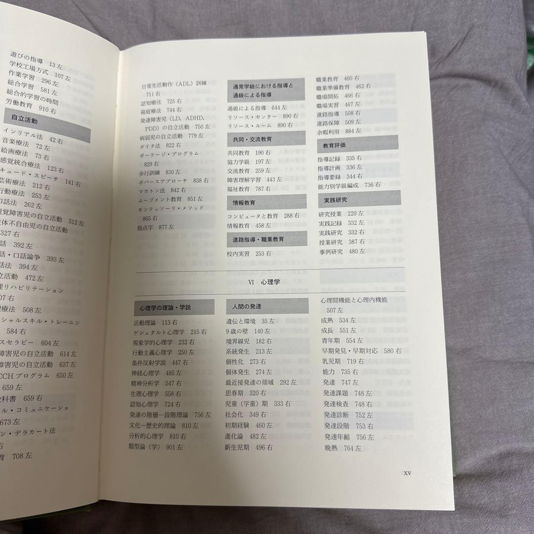 特別支援教育大事典