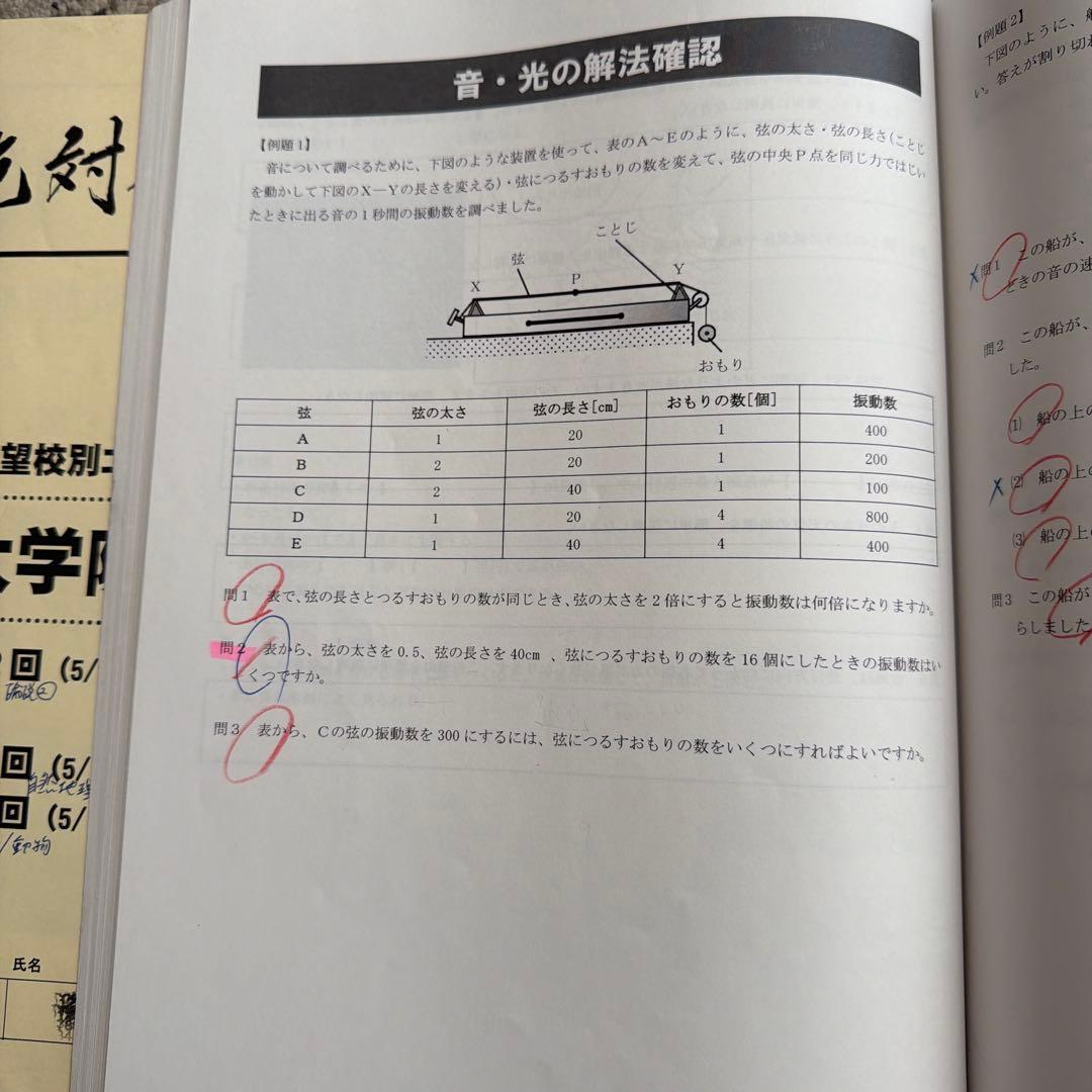 絶対合格！NN志望校別コース　早大学院　日曜講座 前期（4月から7月まで）４科