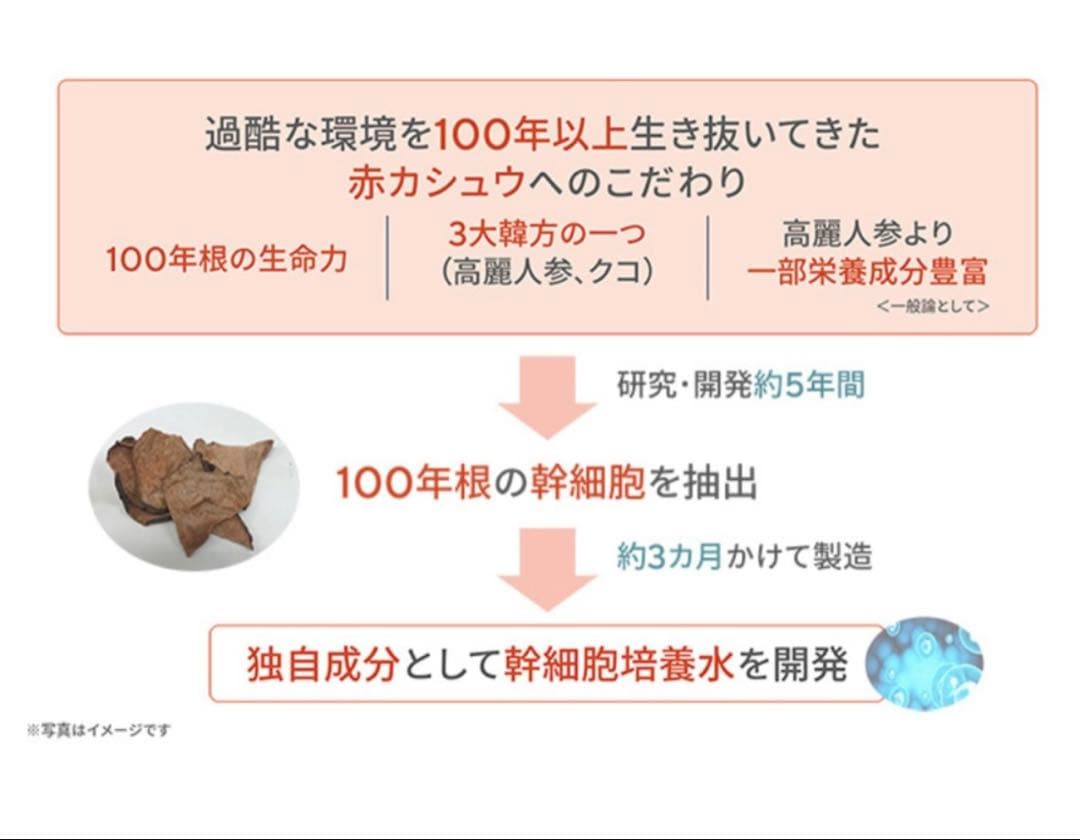 サイムダンプレミアムアクトレススーパーリフティングファンデーション