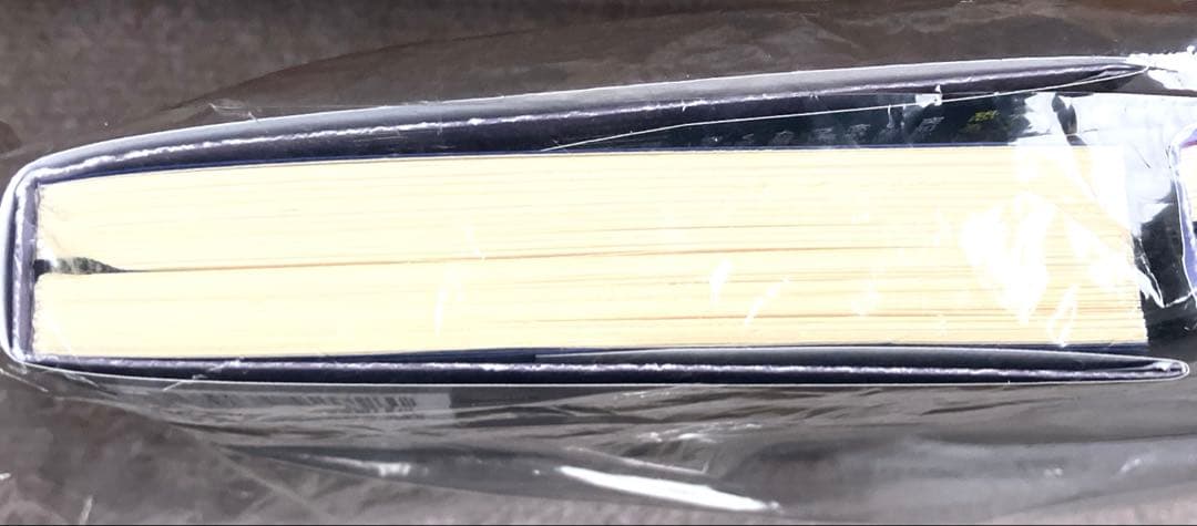 新品 いくつもの鋭い破片 上下 セット ブレットイーストンエリス 品川亮 文藝