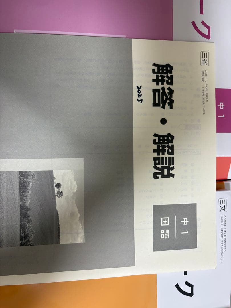 iワーク 国語 中1中2中3 歴史I歴史Ⅱ社会3 地理I 地理Ⅱ 計8冊