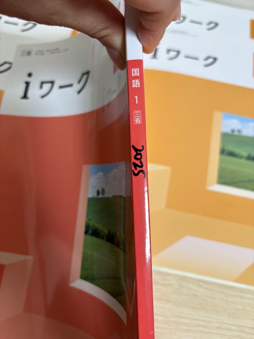 iワーク 国語 中1中2中3 歴史I歴史Ⅱ社会3 地理I 地理Ⅱ 計8冊