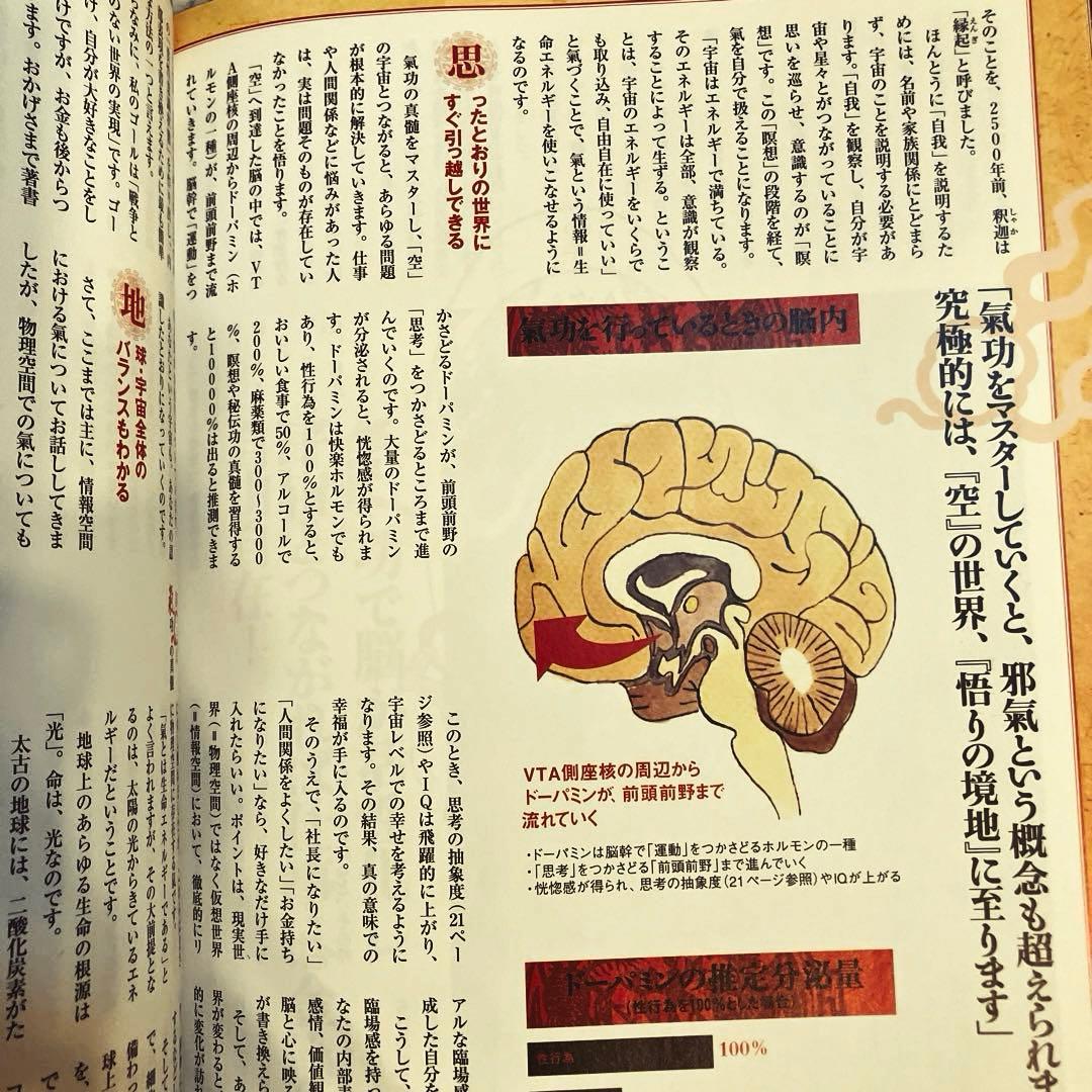 【レア】すごい氣が出るDVDブック : ドクター苫米地&\"神の手\"氣功師　色紙付