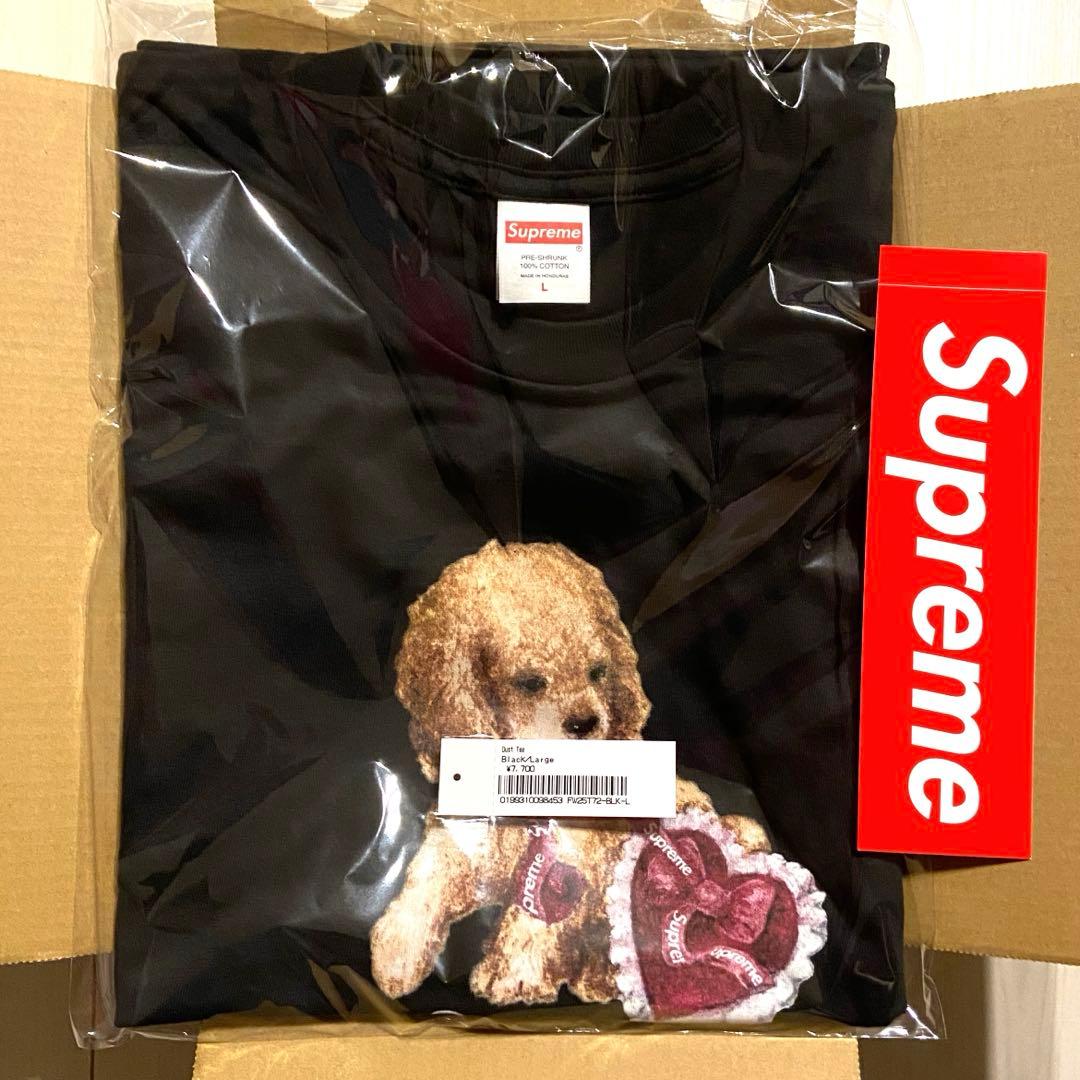 【新品】 Supreme 25FW Dust Tee 黒 L