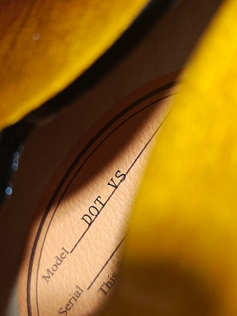 Epiphone ES-335 Dot/極美品Ibanez新品ソフトケース付