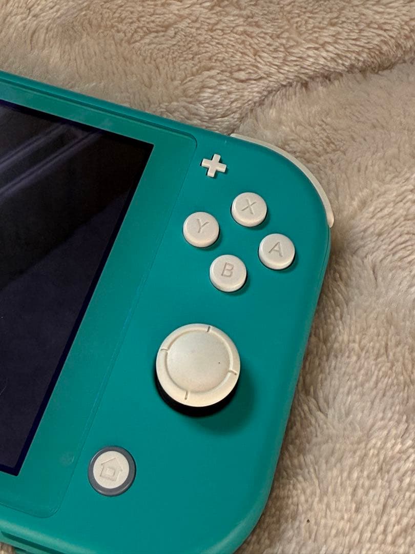 Nintendo Switch Switch lite