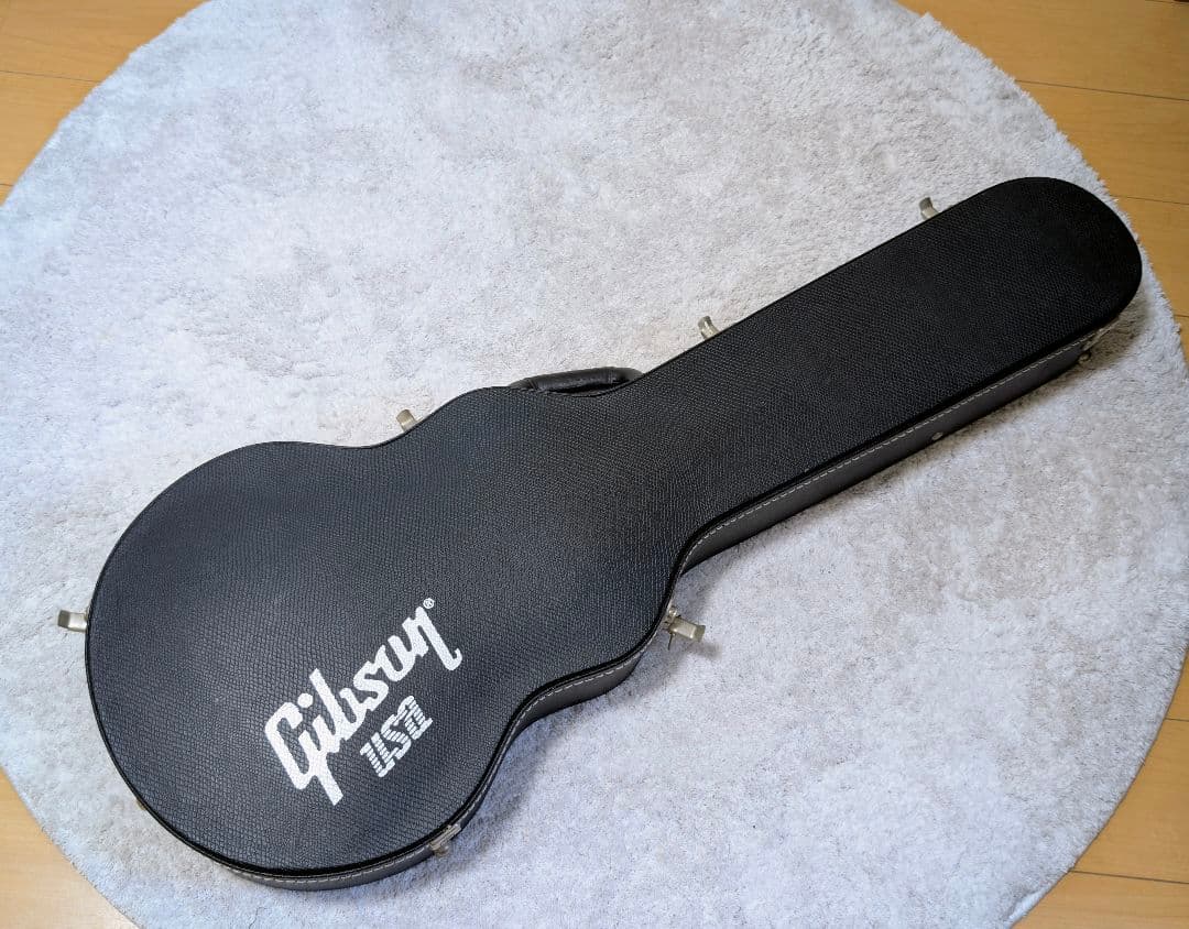 Gibson USA Les Paul Standard ’60s 2010