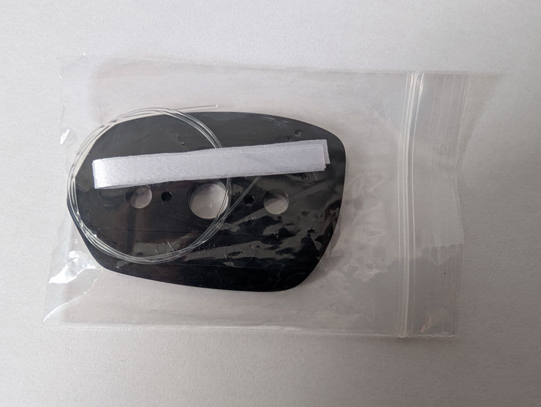 patagonia　新品 Oakley WIRE TAP 2.0