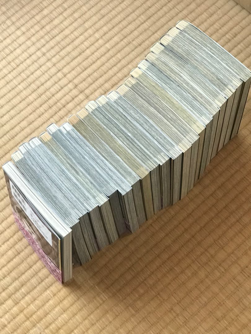 長谷川哲也『ナポレオン　覇道進撃』　1〜20巻、24巻　長谷川哲也