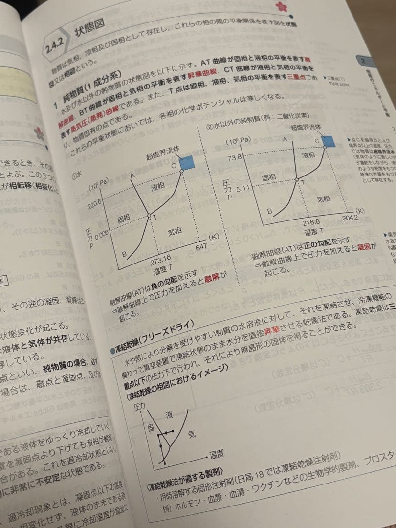 【美品・書き込みなし】第111回薬剤師国家試験対策参考書（改訂第15版）青本のみ