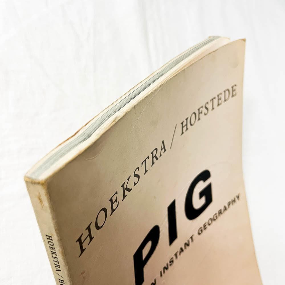 PIG Polynesian Instant Geography 作品集.
