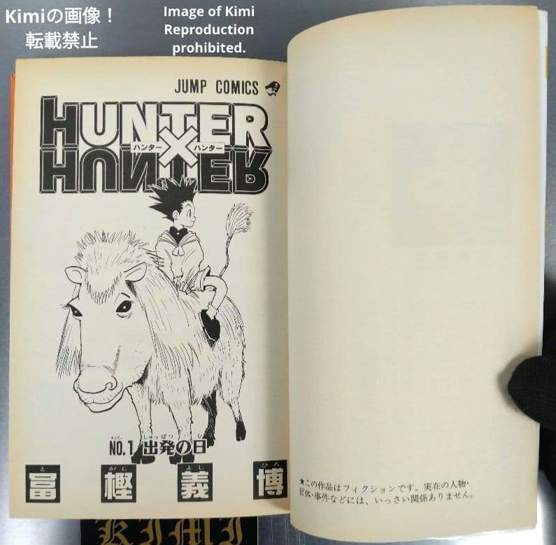 HUNTER×HUNTER 1 初版 第1刷発行 冨樫義博 ハンター×ハンター