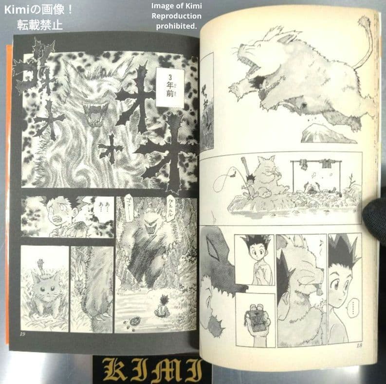 HUNTER×HUNTER 1 初版 第1刷発行 冨樫義博 ハンター×ハンター