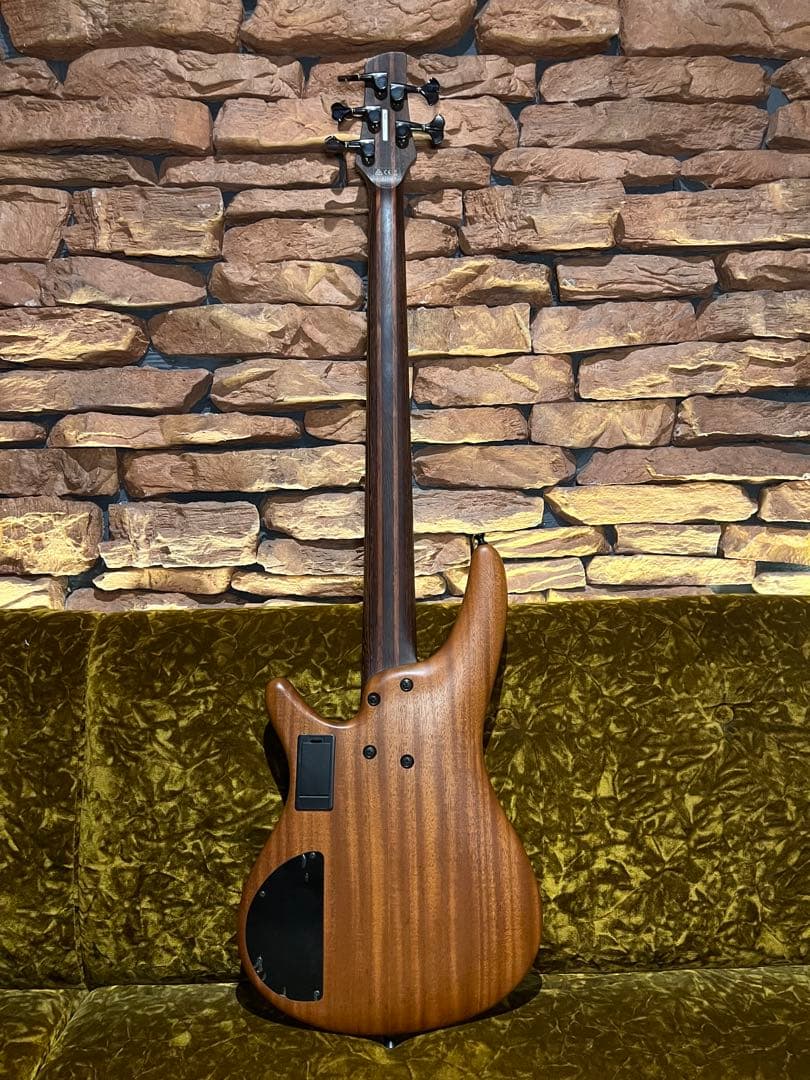 ベース Ibanez SR FF4505 SOL