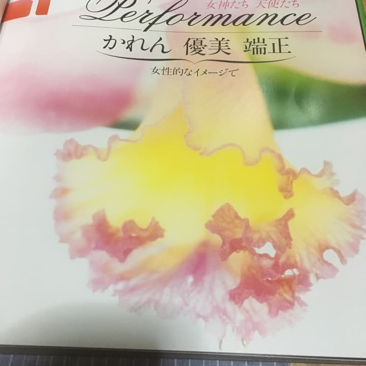 蘭=百花譜 杵島隆作品集/杵島隆