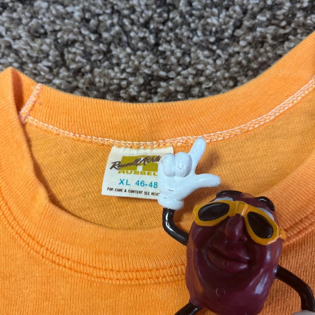 ミッチー様USA製 70s ヴィンテージTシャツ ゴールドラッセル 金タグ
