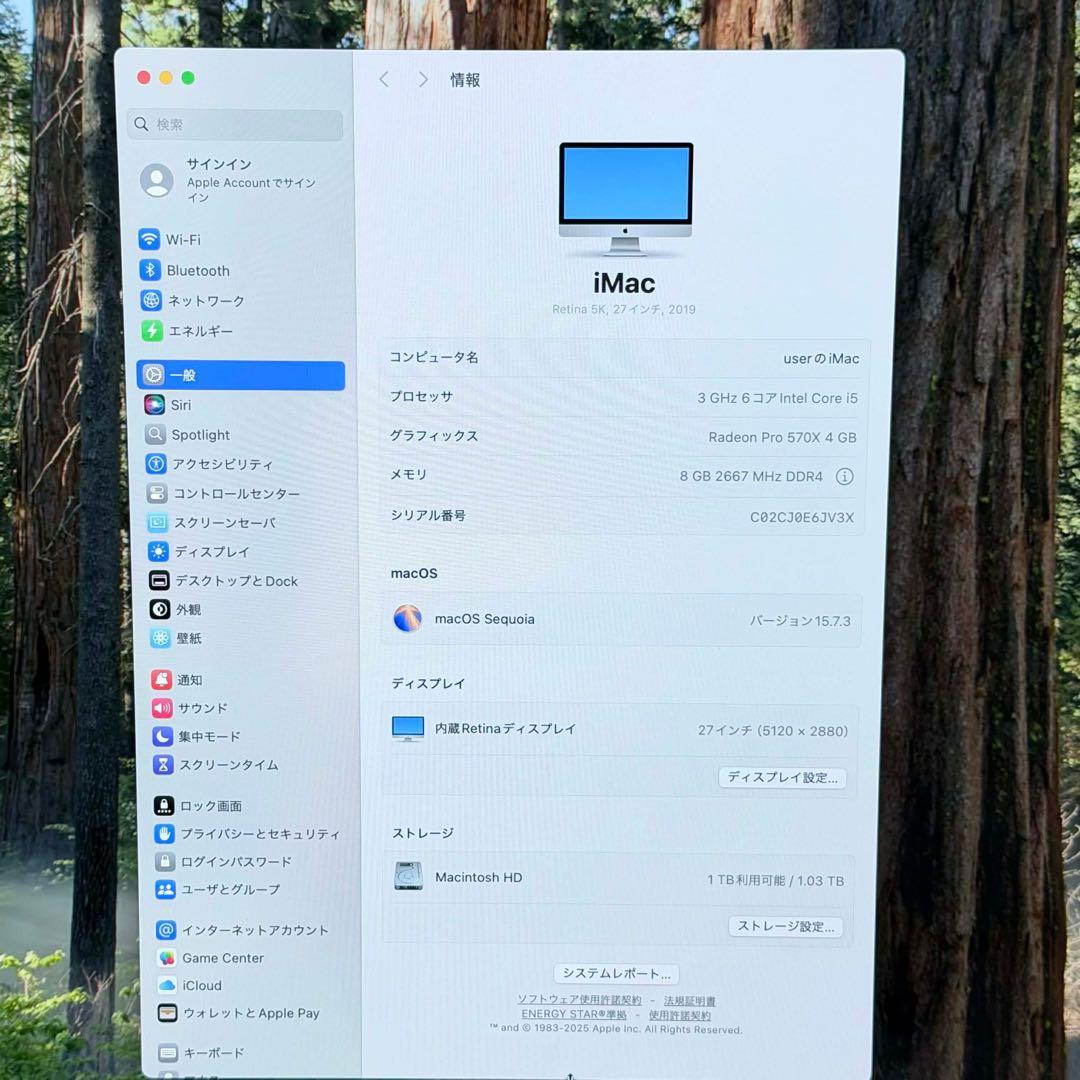 【良品】iMac 5K 27インチ 2019 / i5 / 8GB/1TB