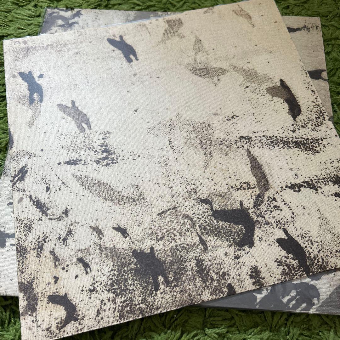 sigur ros 12”レコード2枚セット hoppipolla ポスター付き