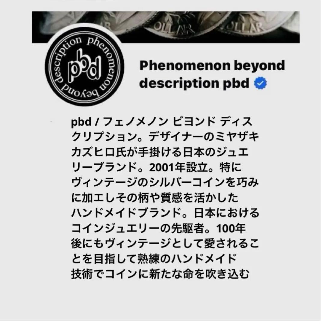 pbd フェノメノン ビヨンド デイスクリプション ケネディ ペンダント