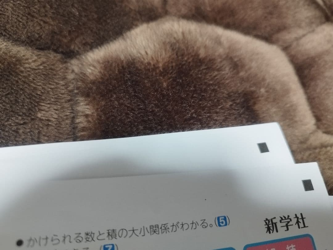 【最新版】カラーテスト　算数　５年生