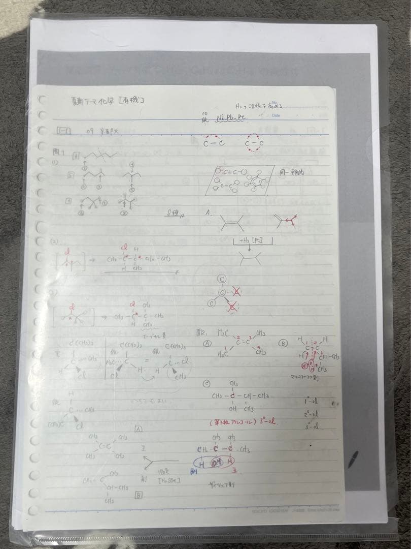あかさかす 河合塾 2024 夏期 テーマ化学（有機）＋テーマ英文解釈発展