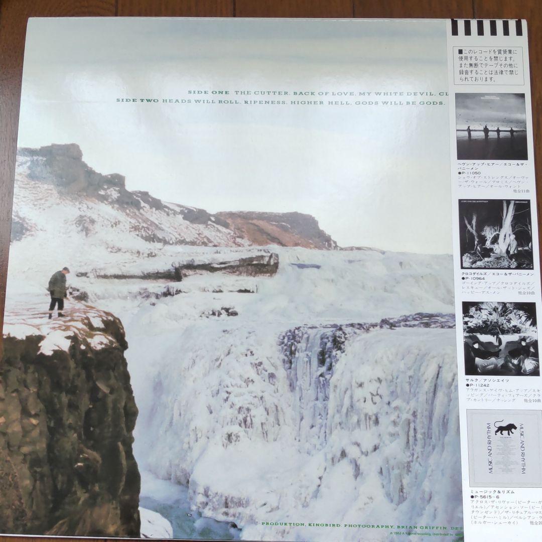 レコード ECHO & THE BUNNYMEN PORCUPINE
