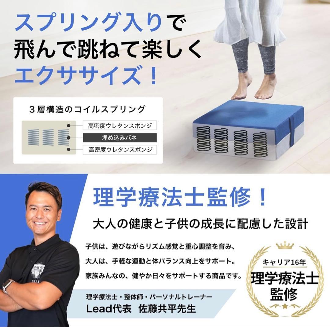 【理学療法士監修！コイル入り】Asp&S トランポリン クッション　室内家庭用