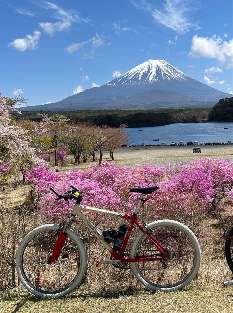 【再々値下げ】PEUGEOT MTB JEANNE プジョーMTBカスタム