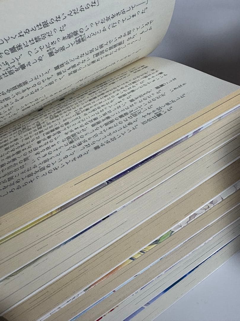 彩雲国物語　小説　文庫　全22巻　骸骨を乞う　漫画　コミックス版　全巻　セット