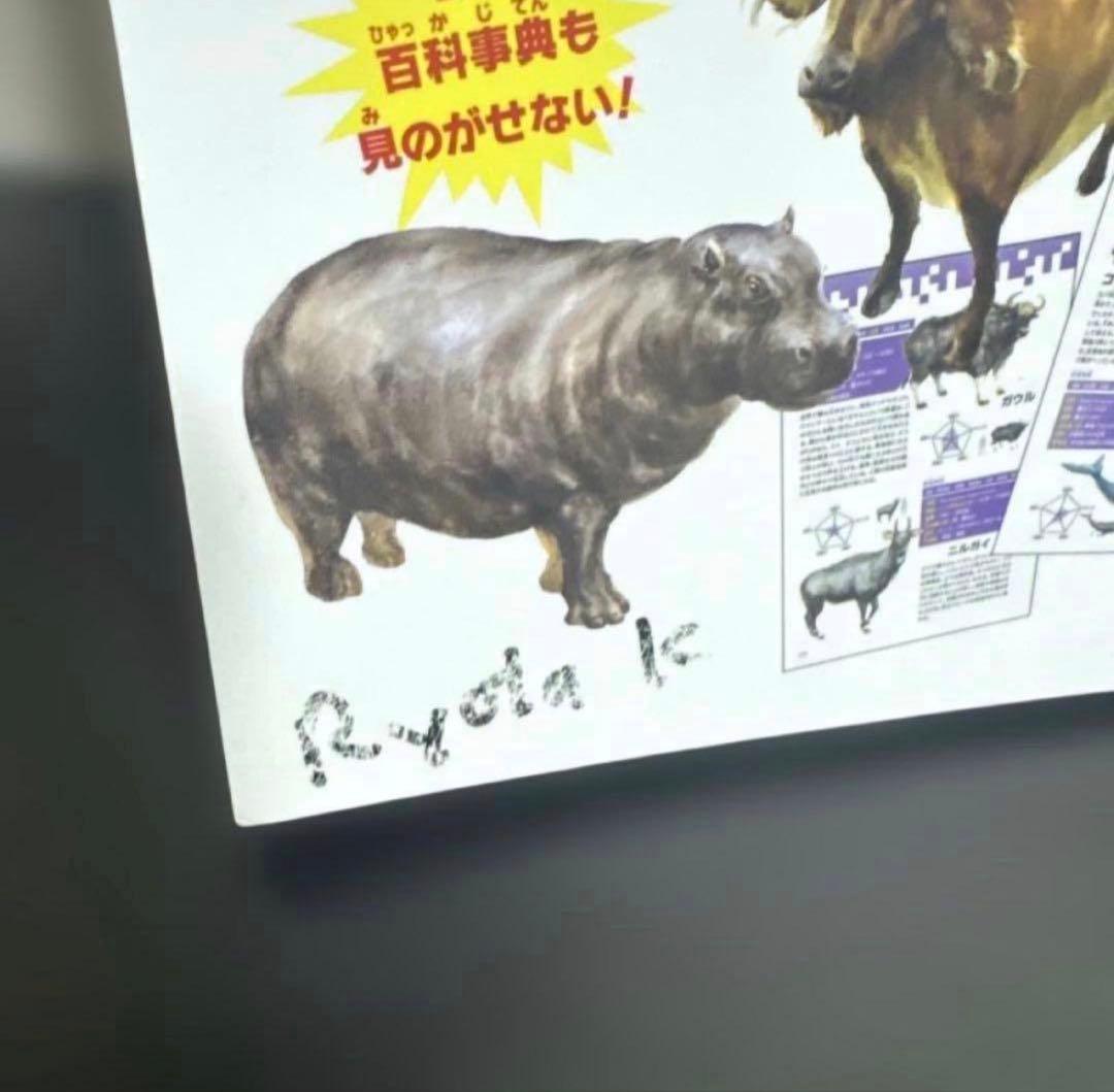 どっちが強い！？ +他　角川まんが科学シリーズ 20冊セット　まとめ売り