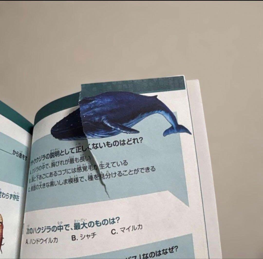 どっちが強い！？ +他　角川まんが科学シリーズ 20冊セット　まとめ売り