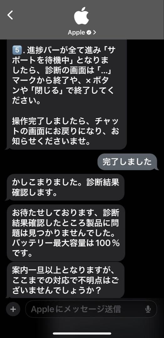 iPad mini 5 本体 バッテリー100% 第５世代 Wi-Fiモデル
