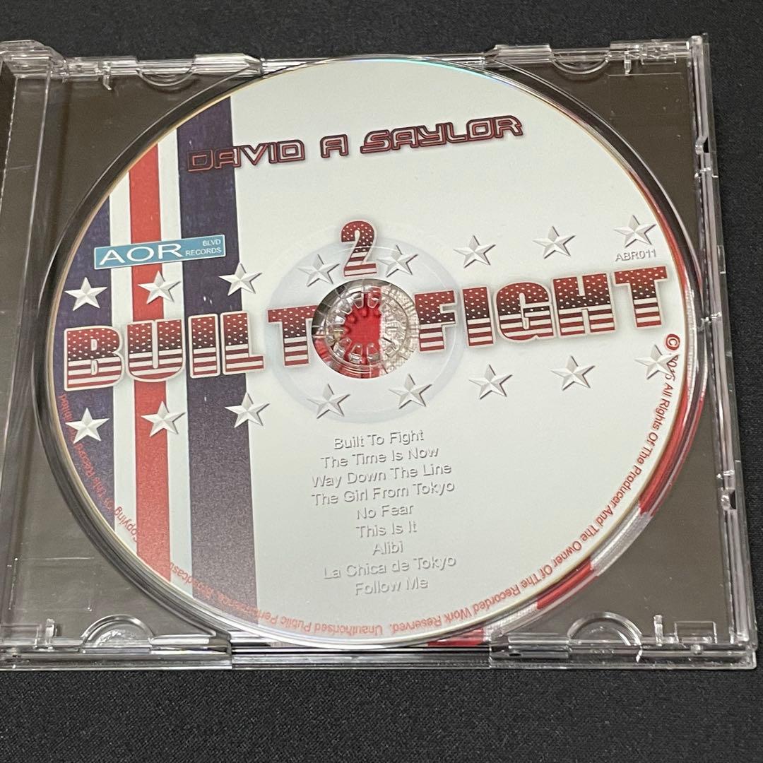 David A. Saylor/Built 2 Fight 限定盤メロハー