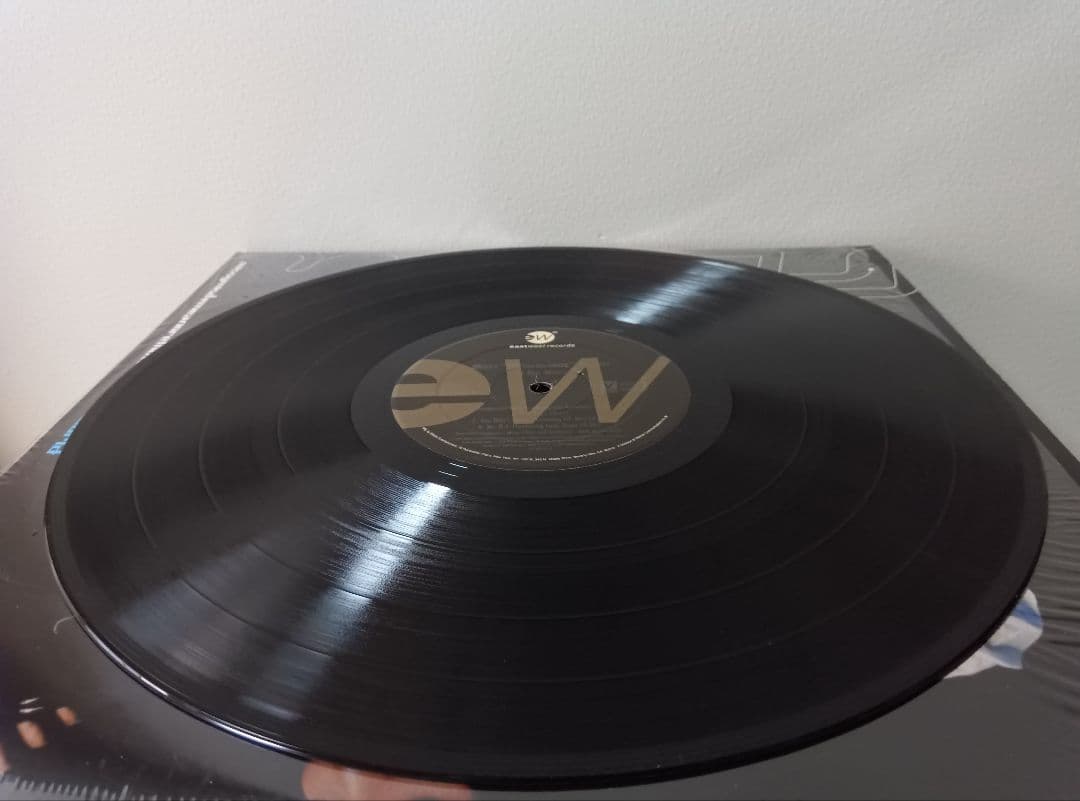 [美品]Missy Elliott/Da Real World LPレコード2枚