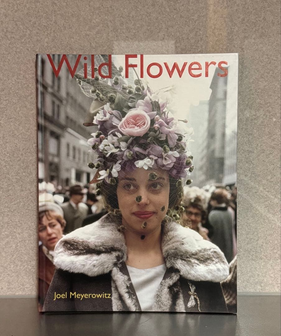洋書 Joel Meyerowitz Wild Flowers