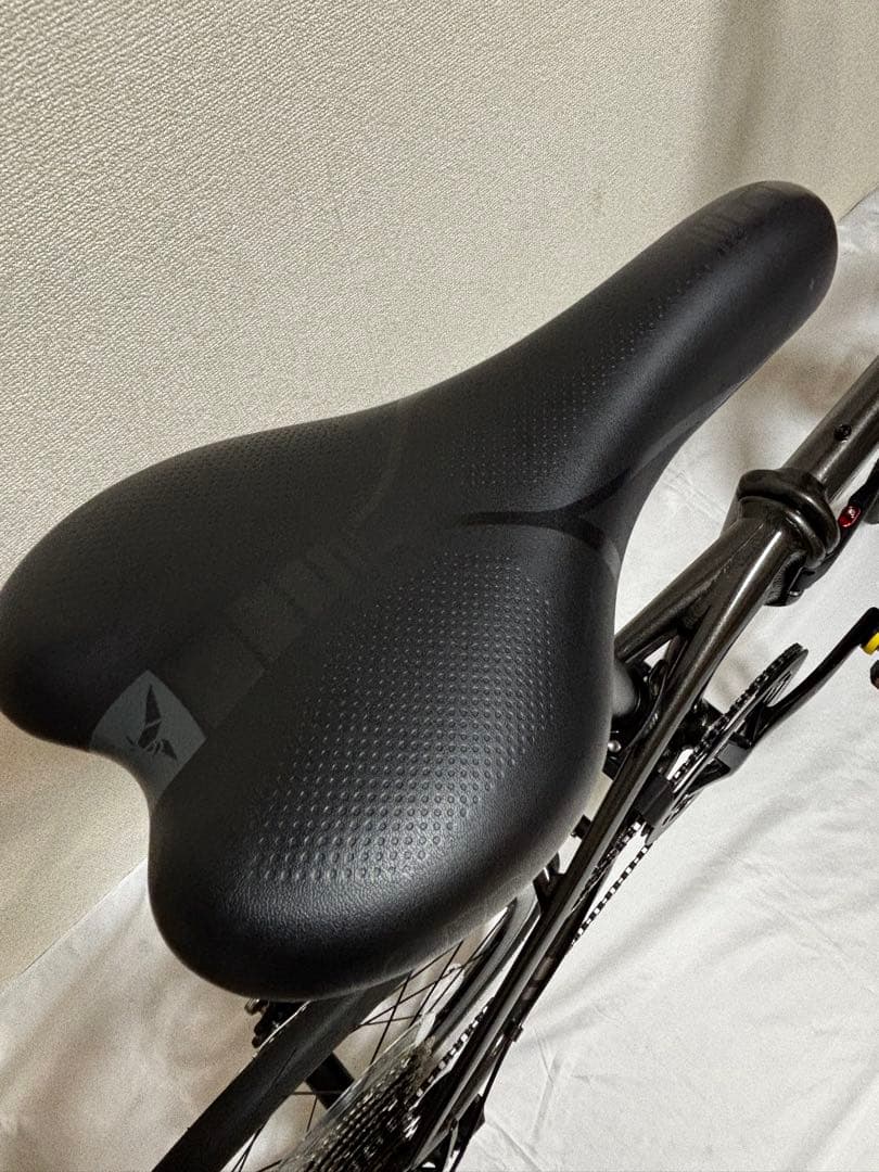 TERN ターン 2025年モデル Verge P10 バージュP10