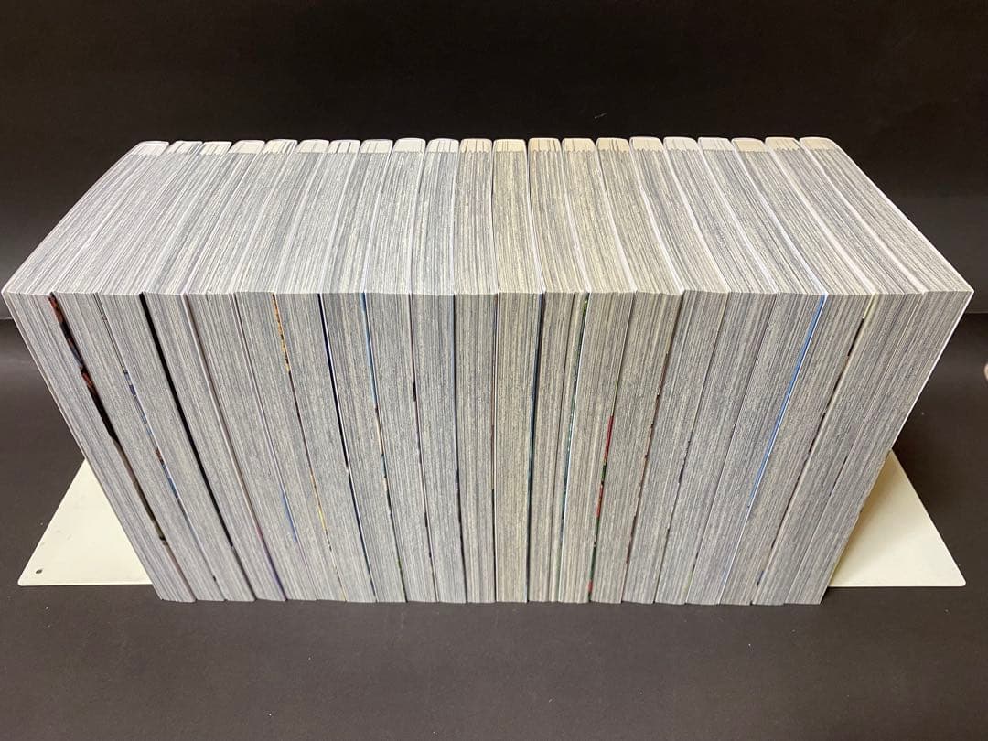 リエゾン（全２１巻、全巻セット）