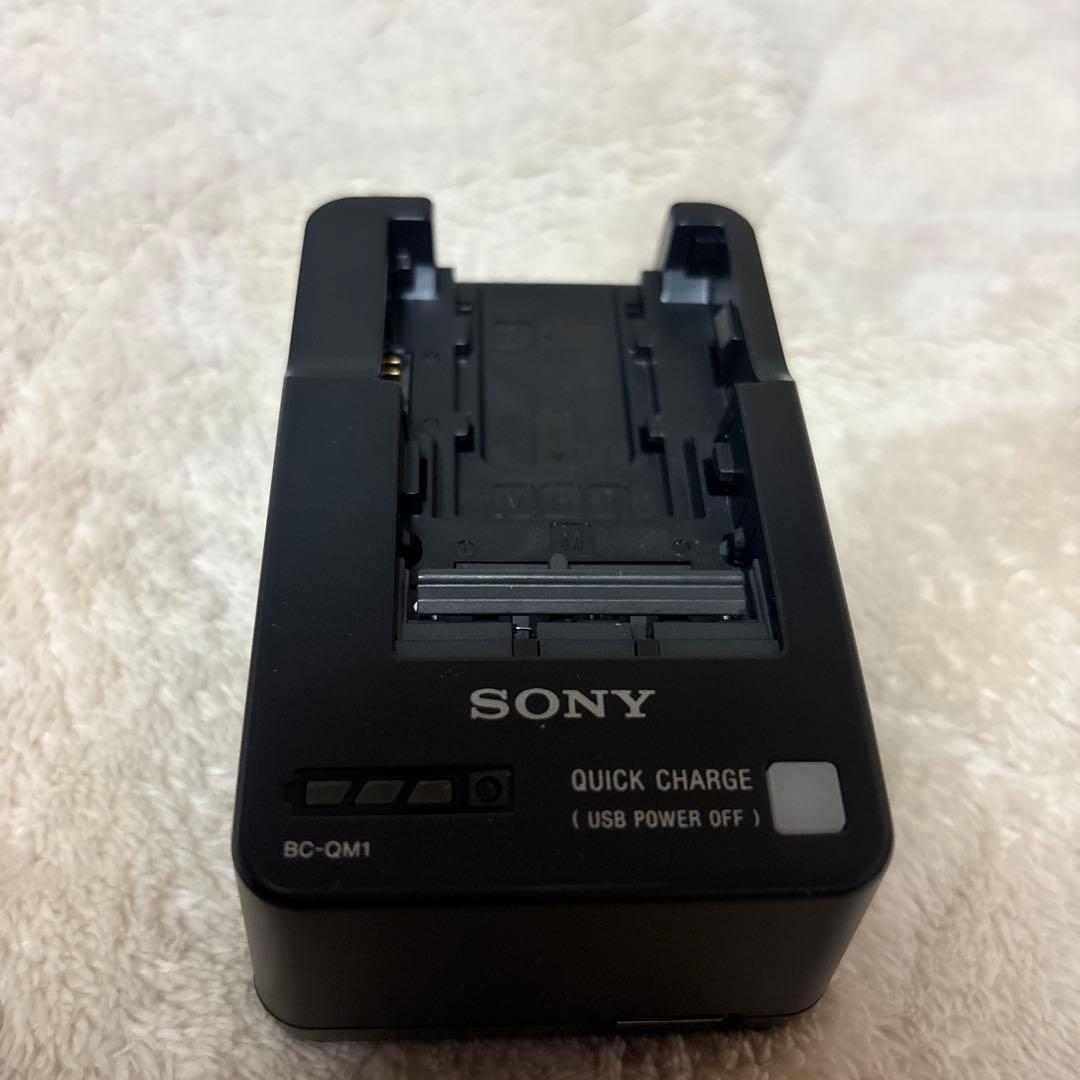 ビデオカメラ SONY 4K FDR AX700