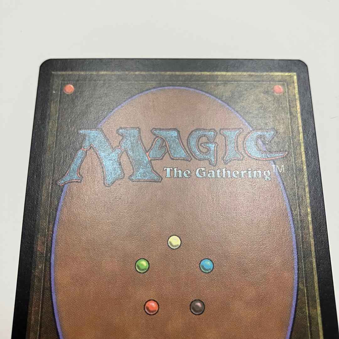 MTG 島 英語版 1枚 サインド グルランド（Guru land）
