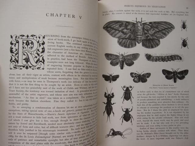 アート・デザイン・音楽 American Wood Engraving Victorian Histor