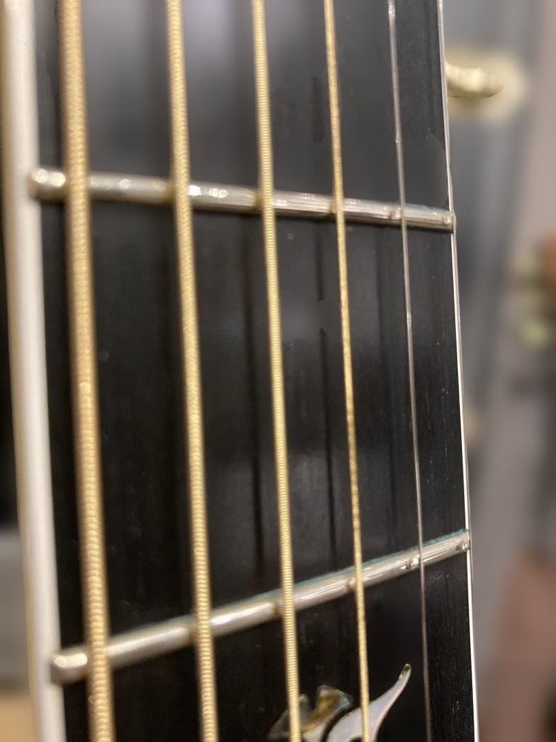 Taylor T5- C1 最初期型 2005.08.18製