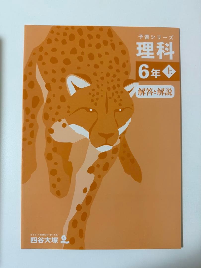 予習シリーズ 算数など 6年 上巻・解答と解説　全１２冊　2025年購入