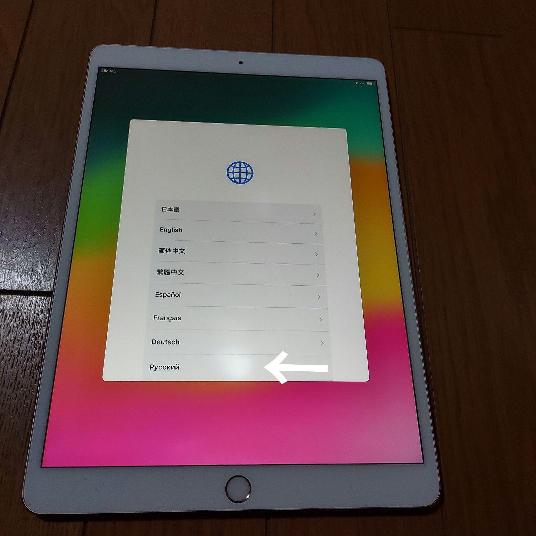 〈あみ〉iPad Pro 第一世代 10.5インチ ローズゴールド