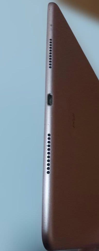 〈あみ〉iPad Pro 第一世代 10.5インチ ローズゴールド