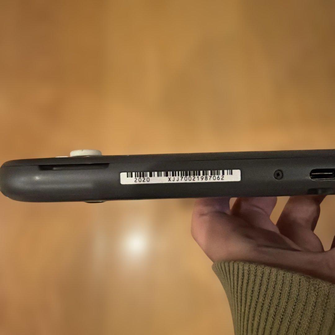Nintendo Switch Lite ケース付き