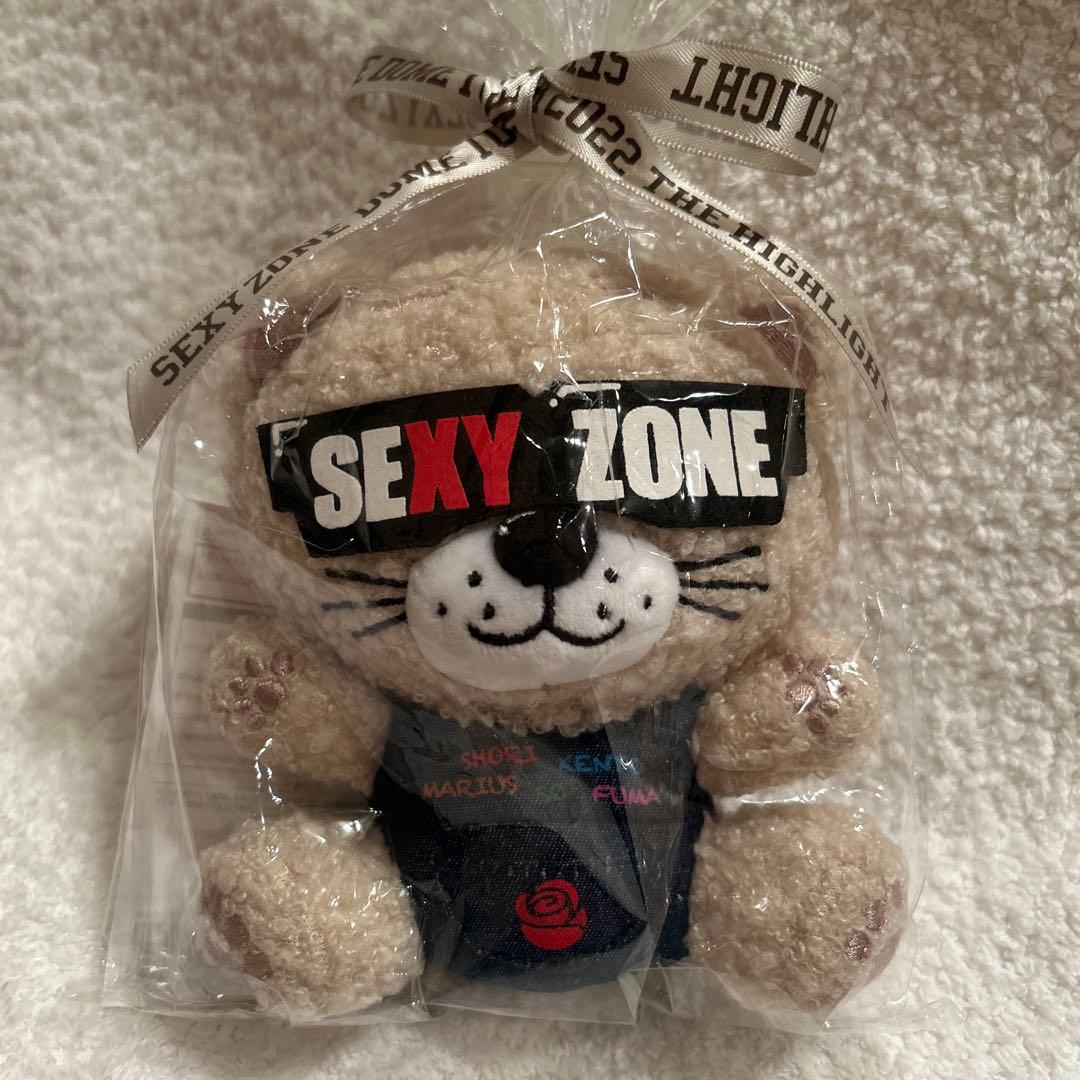 SexyZone Sexy Tour 2017~STAGE 通常盤 DVD２枚組
