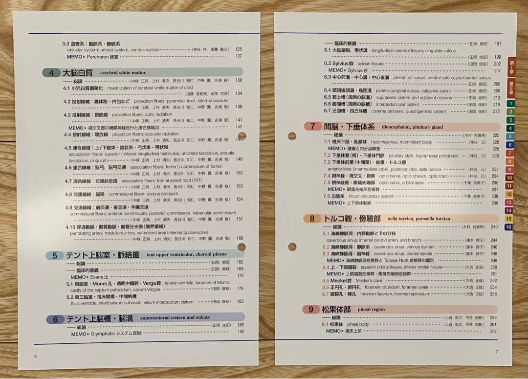 【裁断済】【2つ穴あり】脳神経画像解剖ナビゲーション