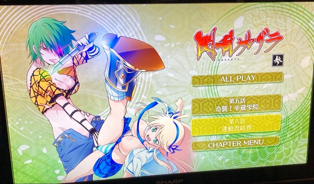閃乱カグラ　DVD