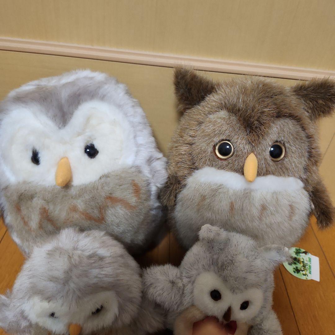 ミミズク　フクロウのぬいぐるみ4体セット